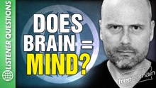 Does Brain Equal MIND? Listener Questions
