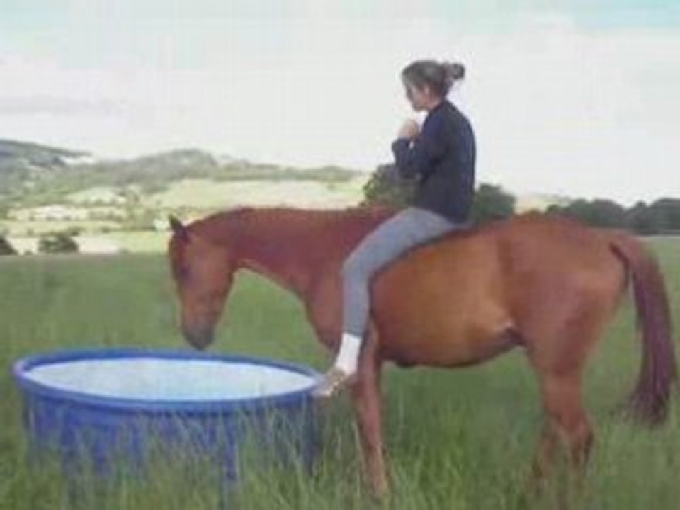 Ramzy dans son nouvo prés