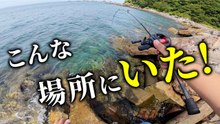岩の隙間を探る穴釣りでカサゴを狙ったら、落とした直後に反応が出た