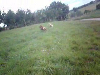 la petite maison dans la prairie