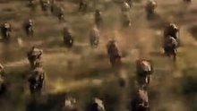 فيلم قصير سينمائي يلتقط التوتر لحظة واحدة مصيرية. ، ＂تحبس الأنفاس＂ قصة قوية في دقائق معدودة. [