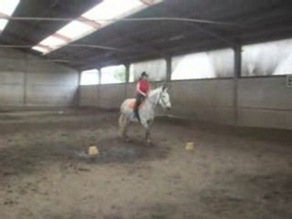 Lorette et lulu ligne courbe