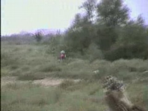 pit bike ycf et honda