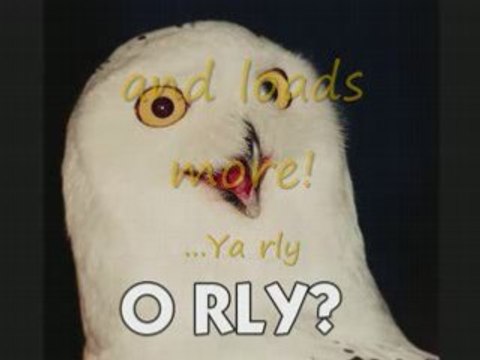 Free xbox points at Rewards1