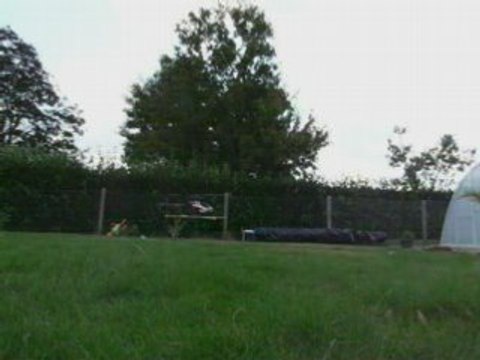 Trex 600 : 1er-statio n°2