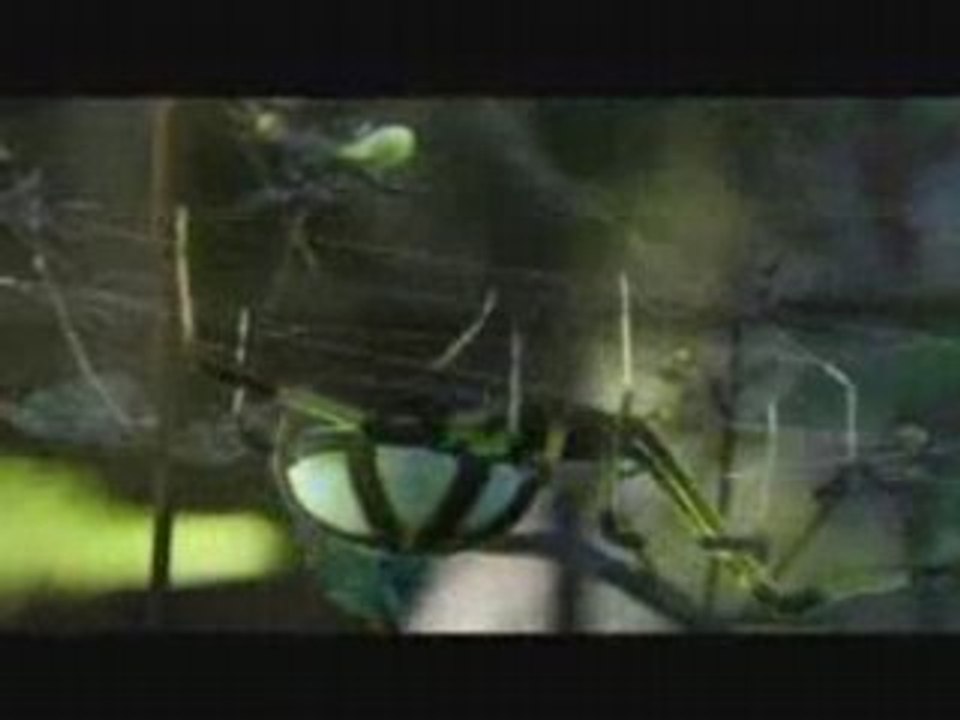 pub Nike - Spider