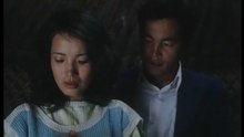 Dangerous Honeymoon Trip (1988) Korean Movie