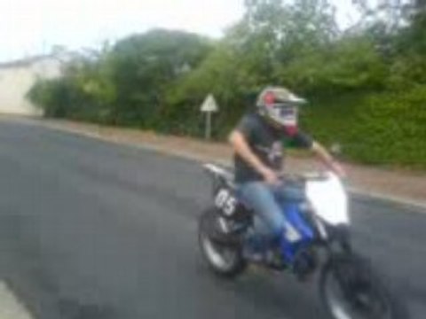 2 yamaha dt en top rose