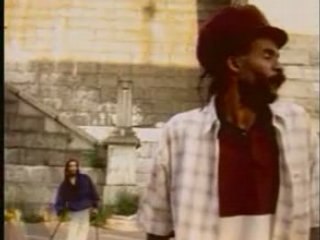 Video Israel Vibration