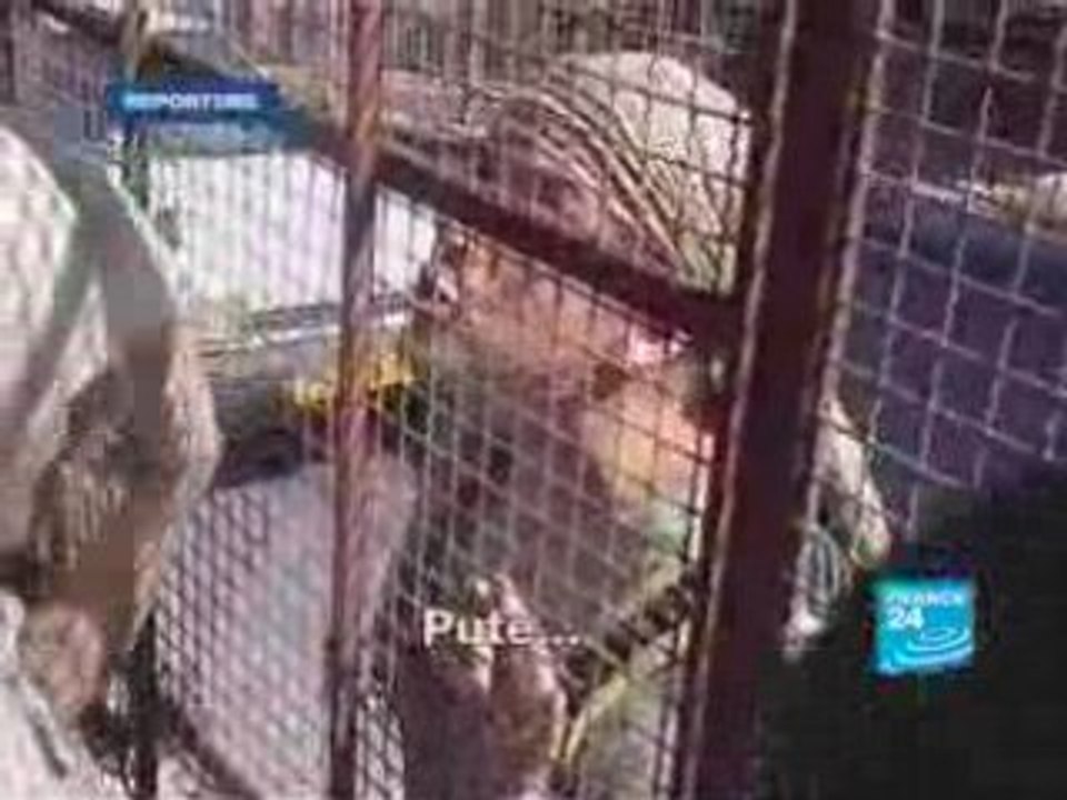 Hébron, ville symbole de la colonisation israélienne