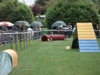 Agility