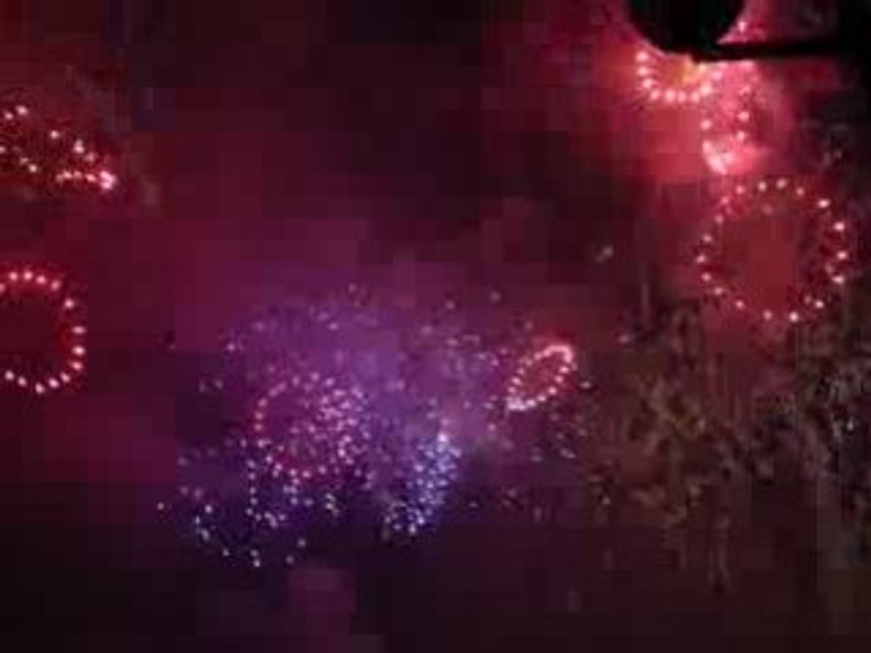 Feu d'artifice Geneve 2008