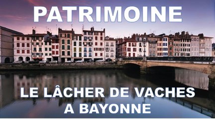 Lâchers de vaches à Bayonne, place Saint André (2004)