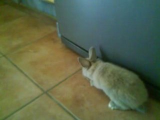 Première sortie de Bidule