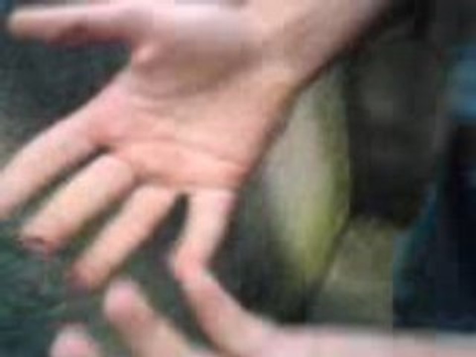 MOV00258