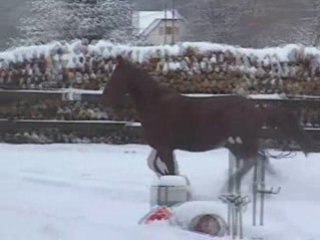 Op op janvier 2007_0002