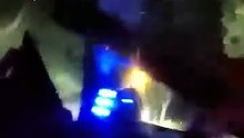 Cão pede ajuda à polícia salvar dono. Estava caído em casa há 3 horas