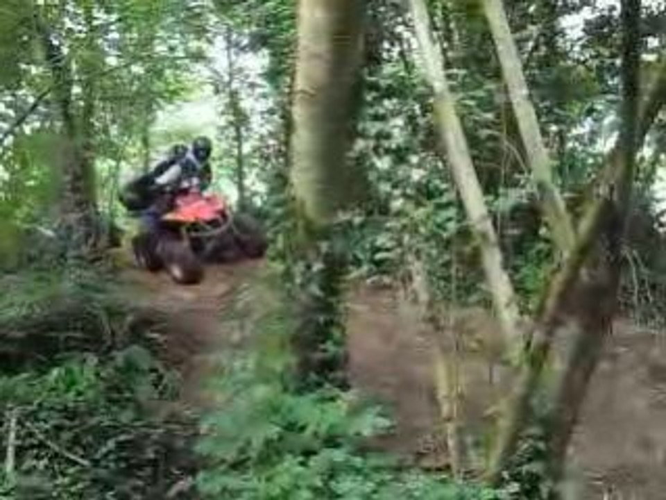 ses moi qui m'y colle pour cette fois