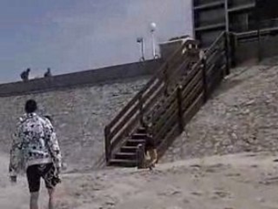 La mer
