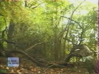 Reportage 4.4 Forces spéciales US/FR en Afghanistan