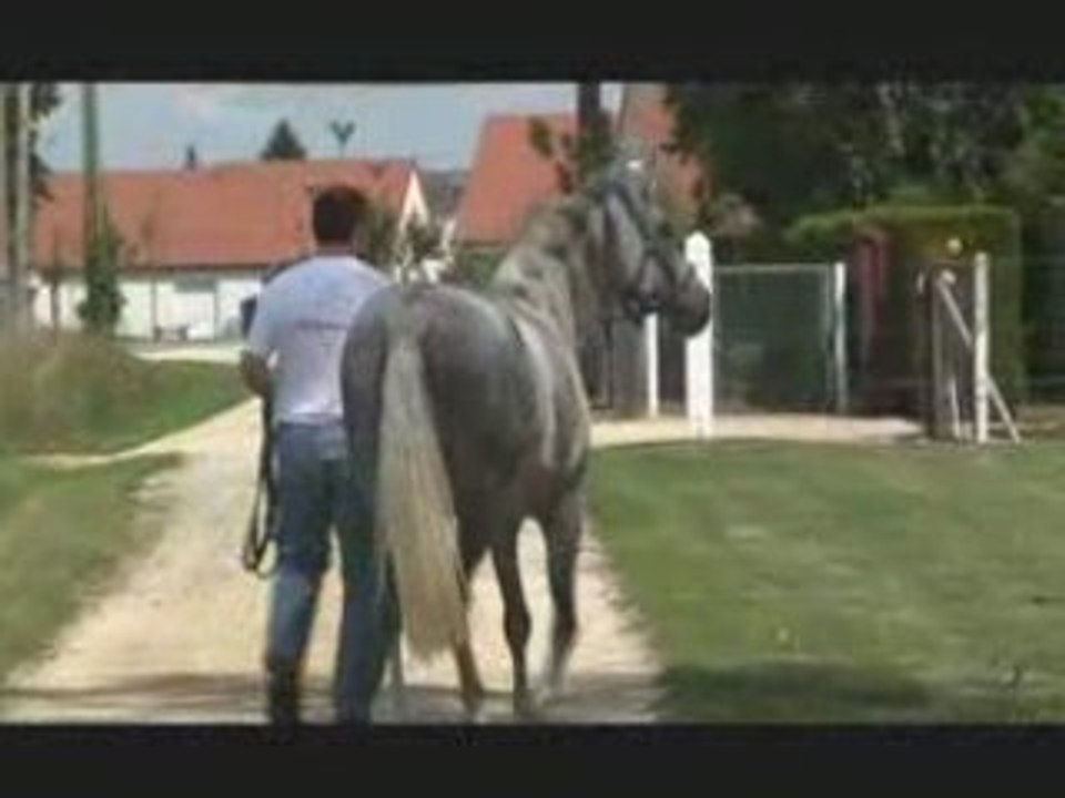 Luna ballade_0001