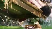journey_to_the_west__part_-_2____MonitorMee_#shorts_#viral_#shortsfeed_#trending