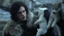 Game of Thrones Fans Buy Huskies, Then Surrender Them