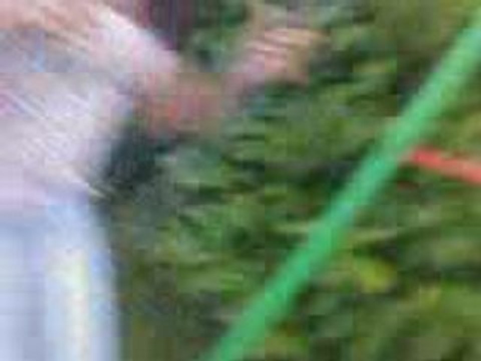 VID016