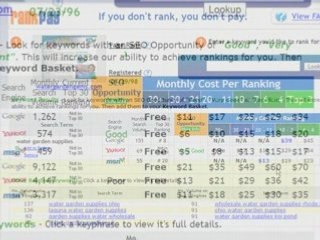 Introducing RankPay.com.  A Pay-Per-Ranking SEO Service.