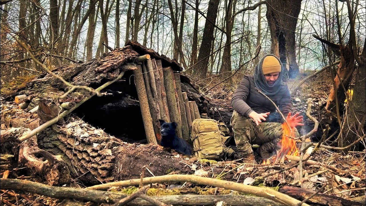 24 Hours in the Swamp with My Dog | Survival Shelter, Fire & Bushcraft