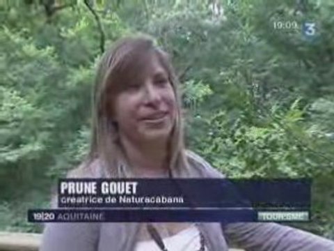 JT France 3 19/20 : Les cabanes dans les arbres