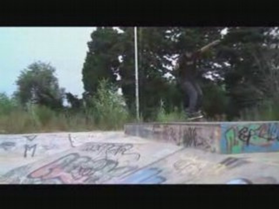 Session  nimes cat-skateboard
