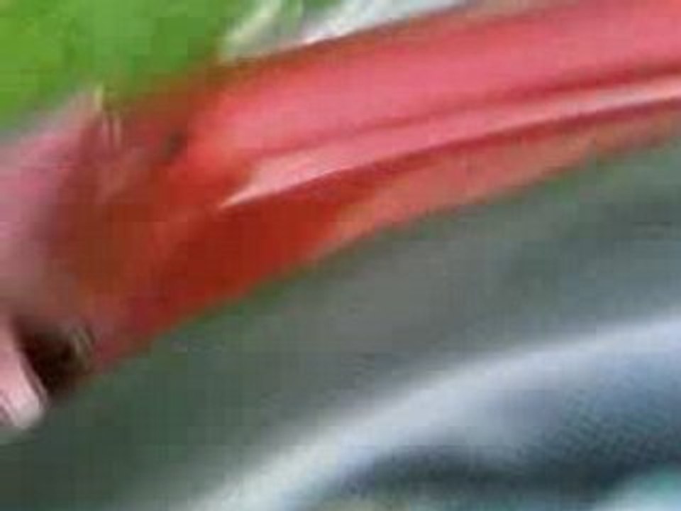 booster bruit chelou1