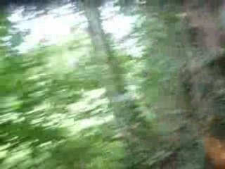 Enduro Gras Part. III