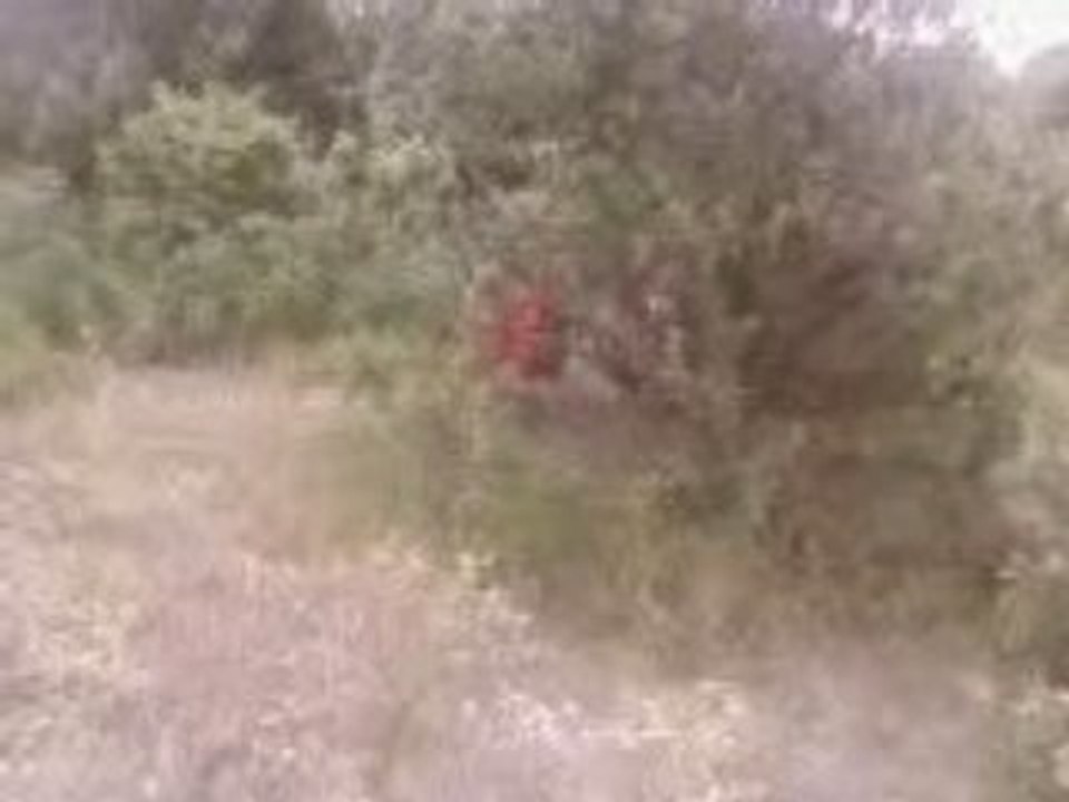 Vidéo Cap cherche Nico et Tim Pujaut  15-08-2008