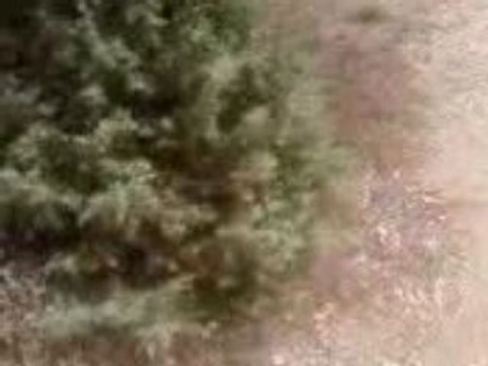 Cap trouve Nico et Tim Pujaut 15-08-2008