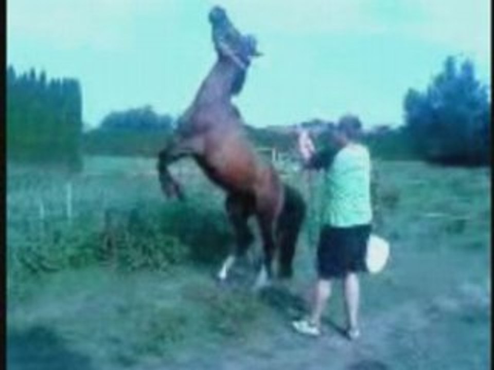 cheval remember of me