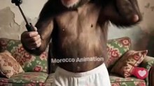 كردوش، يعيش وفي رأسه قدر طبخ، ويريد شراء سيارة 😂
