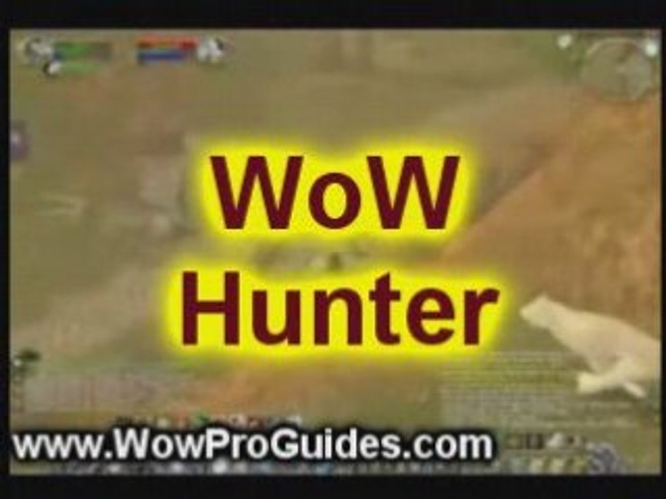 WoW Hunter Leveling Guide