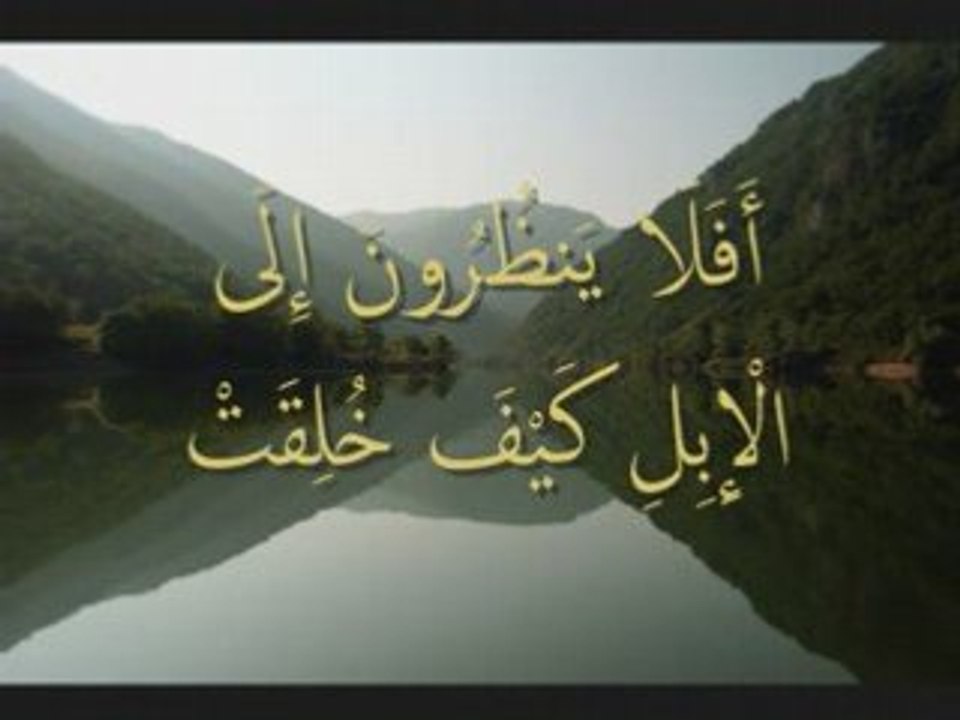 quran kids islam