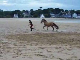 liberté à la plage