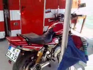 Alte Liebe Restaurant in Koln - Koln Babu