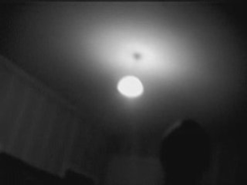 Oasis cover