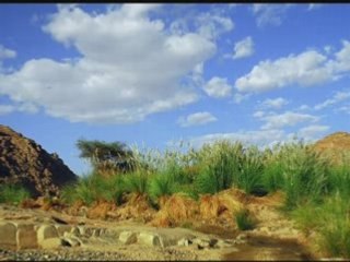 RAI- KABYLE Cheb Kada