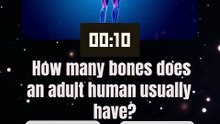 How many bones does an adult human usually have?