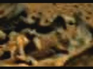 Death On Mars - Proof & a story about Mars Human Species