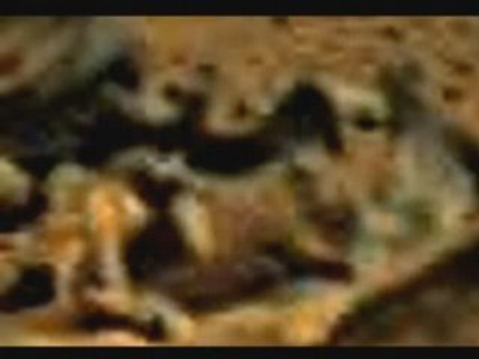 Death On Mars - Proof & a story about Mars Human Species