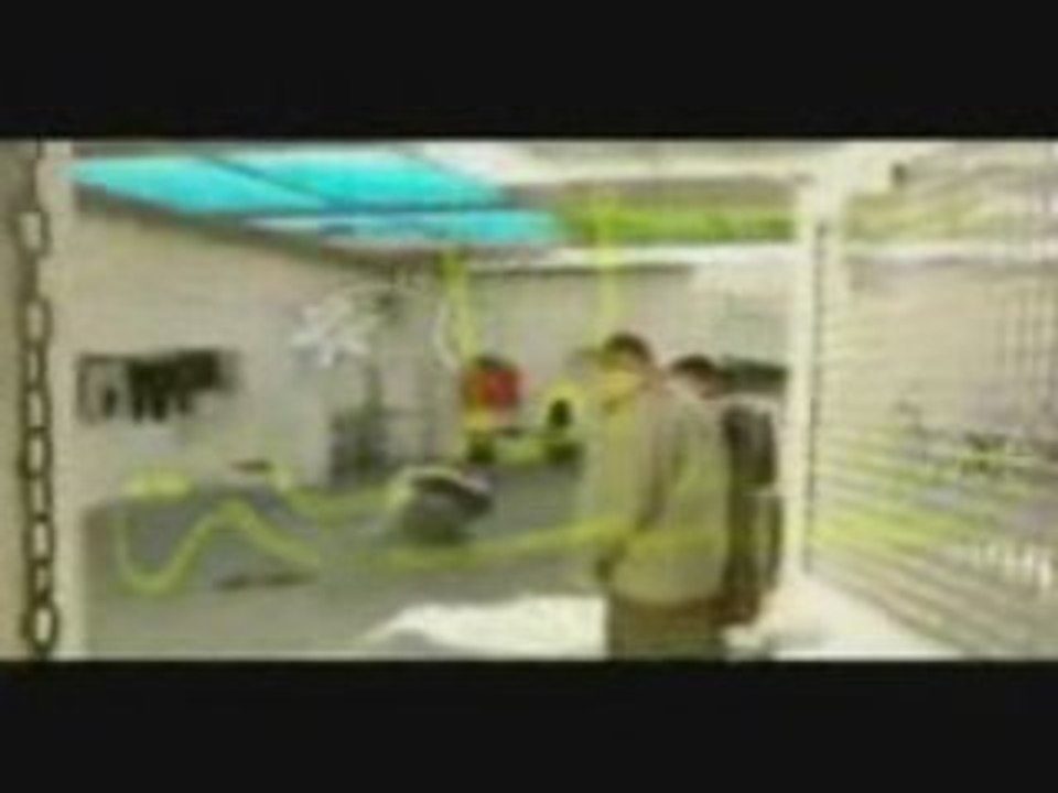 à voir : Palestine- Prison Ihlamurlar Altinda