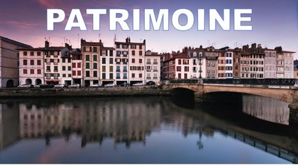 Les animaux du marais d'Orx (Landes) - partie 1