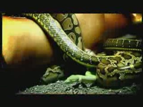 Galena-100 puti(100 times) promo bg chalga summer 2008